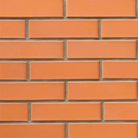 Цегла СБК-Ромни Жовта Абрикосова (Ж2) Половинка (250х65х65мм)